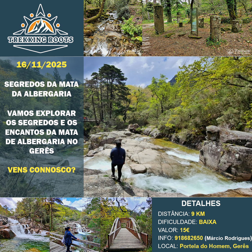 Mata da Albergaria