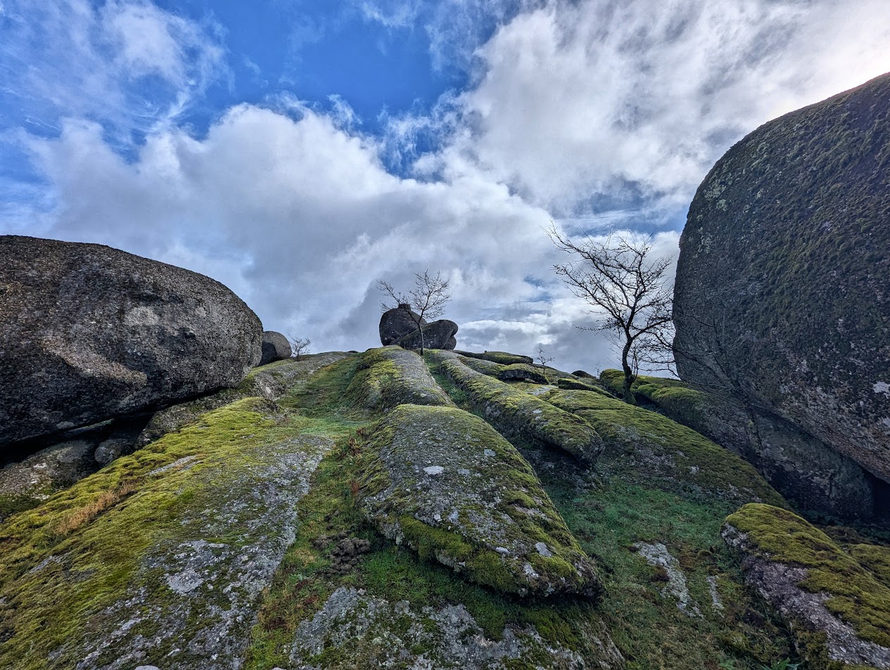 Capela Senhora da Lapa e Castro de Aniss� - Foto 4