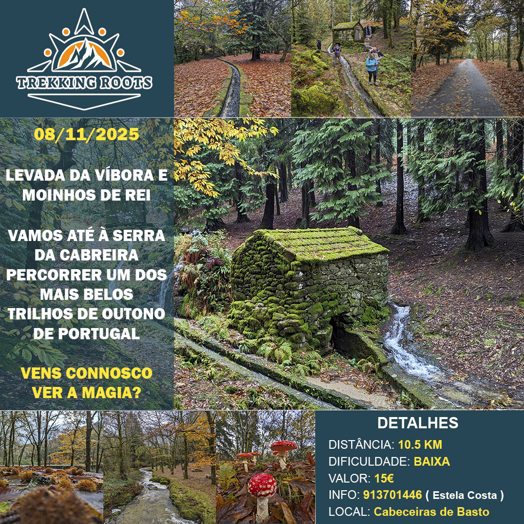 Levada da Vbora e Moinhos de Rei - 8 Novembro