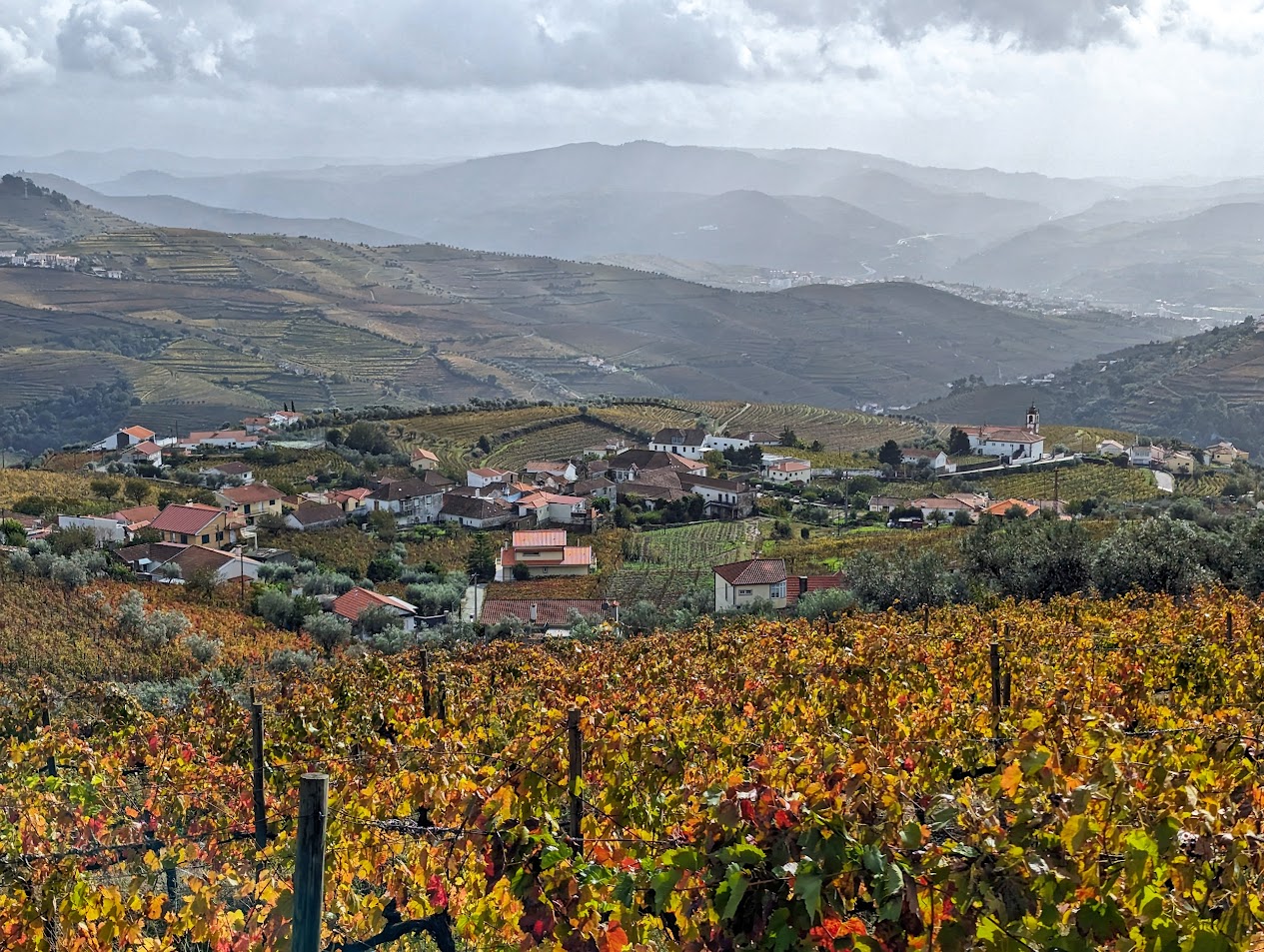 Socalcos Dourados de Santa Marta - Foto 2