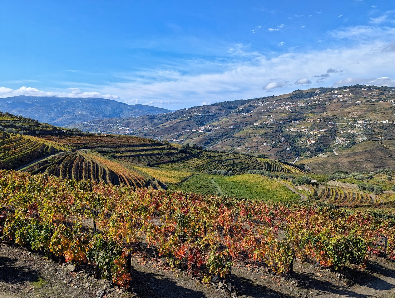 Socalcos Dourados de Santa Marta - Foto 5