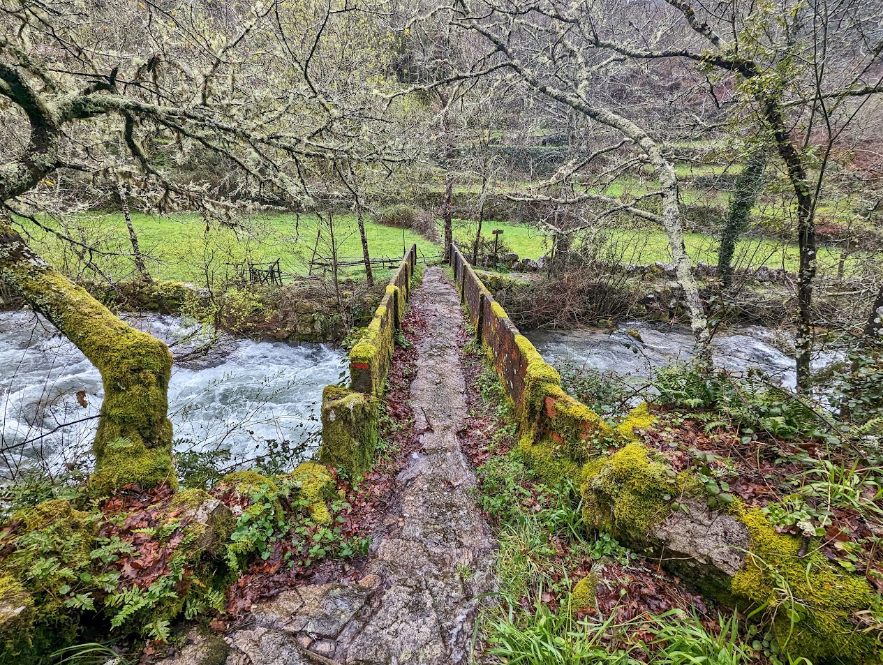 Vale do Rio Bestança - Foto 5