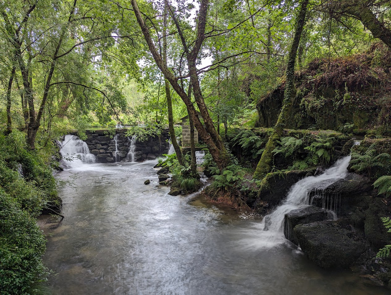 Levadas de Jugueiros - Foto 4