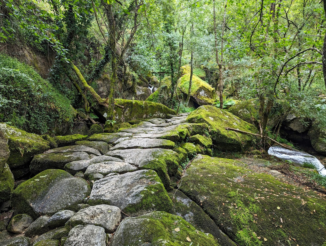 Levadas de Jugueiros - Foto 5