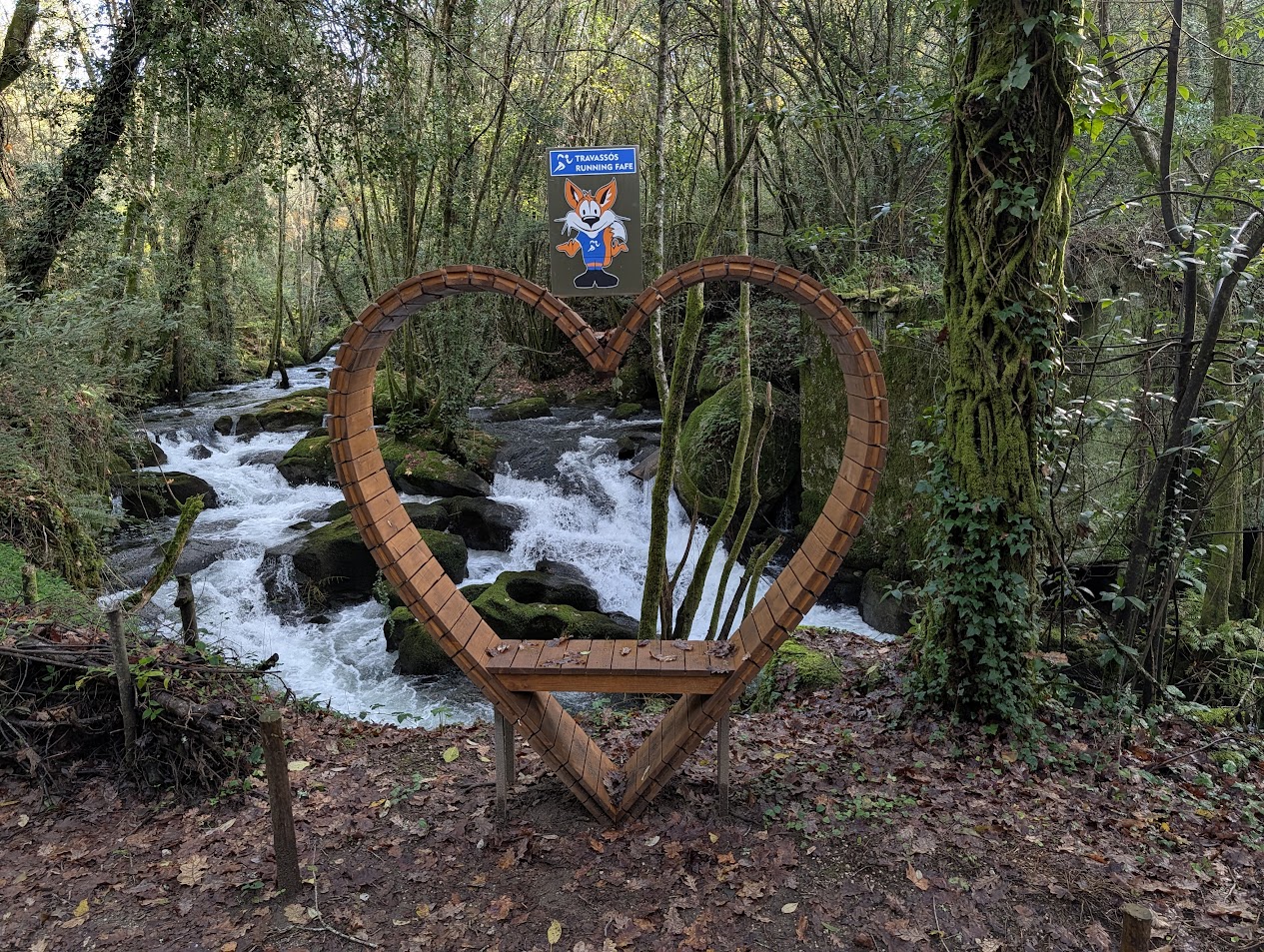 Albufeira da Queimadela e Margens do Rio Vizela - Foto 3