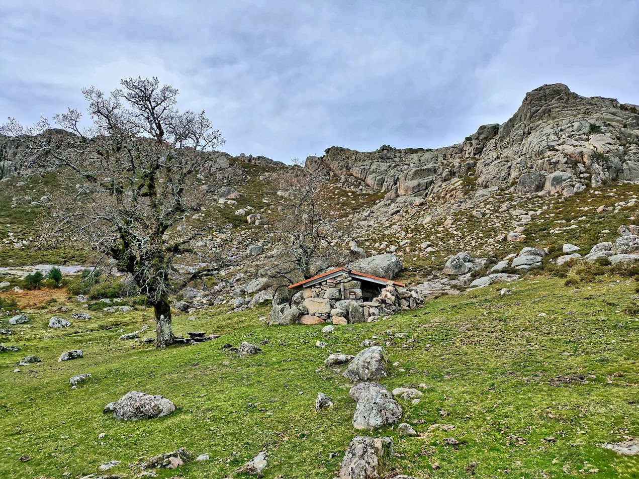 Prados da Messe - Foto 3