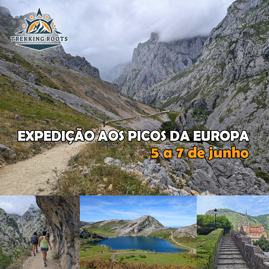 Picos da Europa